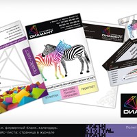 Портфолио Maxim